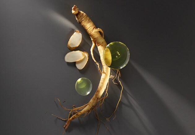 Ginseng Root
